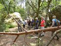 2018-05-24 14-58-32  Rando Fontainebleau FGn